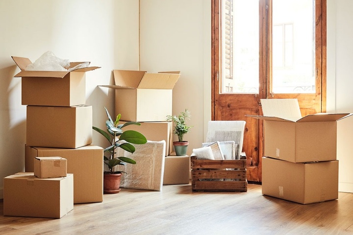 a room with boxes and plants