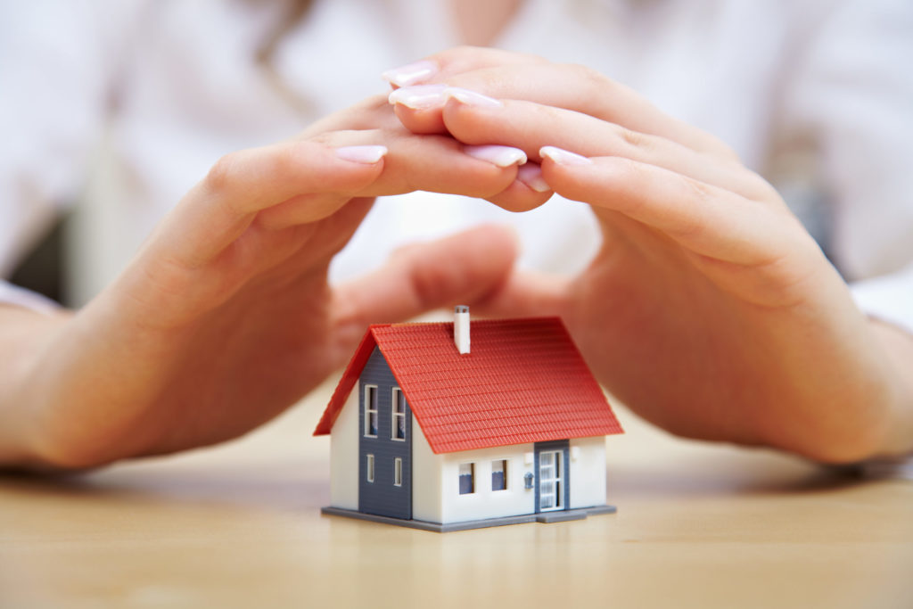 a person holding a small house