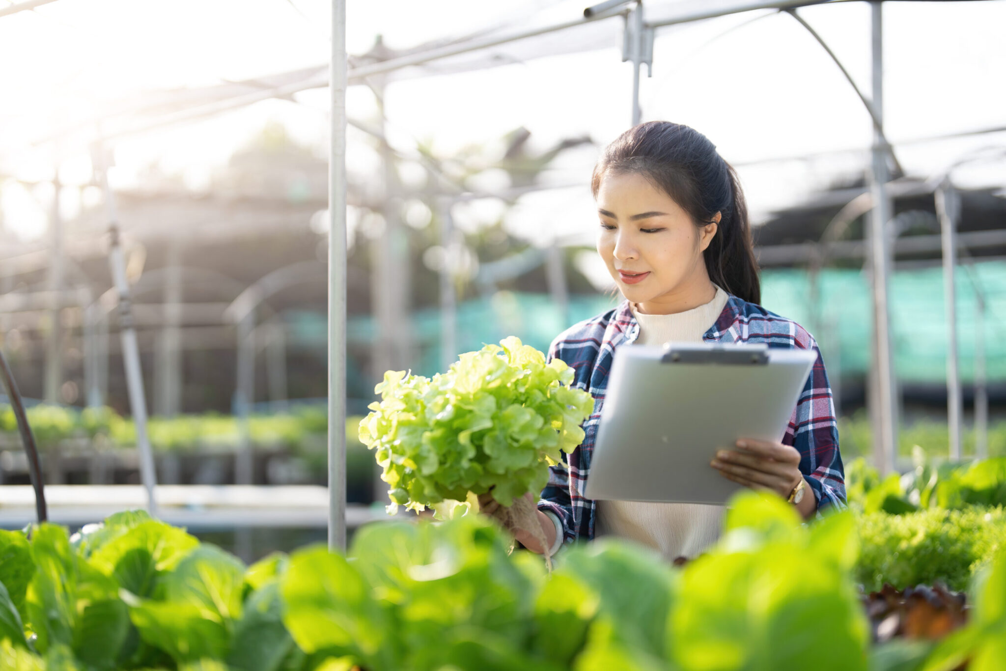 How To Start a Farm - Gene Colan, ESQ